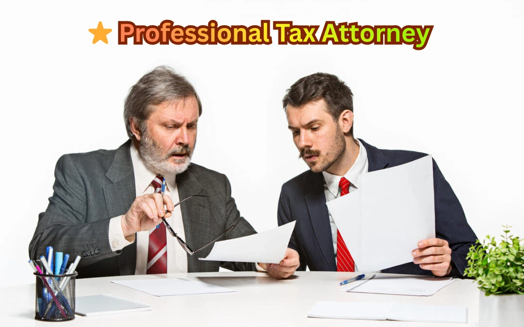 “Two professional tax attorneys reviewing financial documents at a desk.”